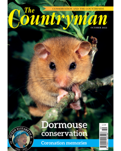 The Countryman Magazine