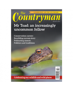 The Countryman August 2022 issue - Out of stock