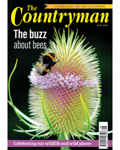The Countryman June 2022 issue - OUT OF STOCK