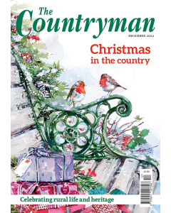 The Countryman December 2022 issue
