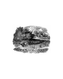 Christopher Wormell Limited Edition Print