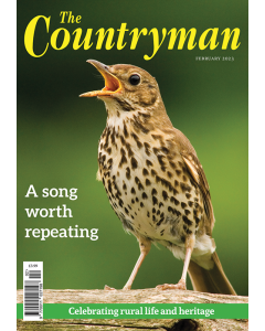 Countryman February 2023
