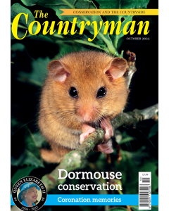 The Countryman October 2022 issue