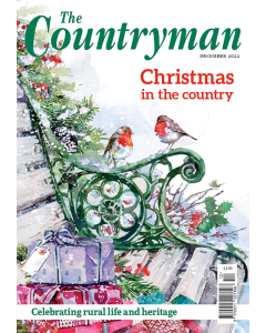 The Countryman December 2022 issue - OUT OF STOCK