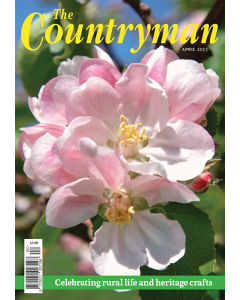 The Countryman April 2023 Issue - OUT OF STOCK