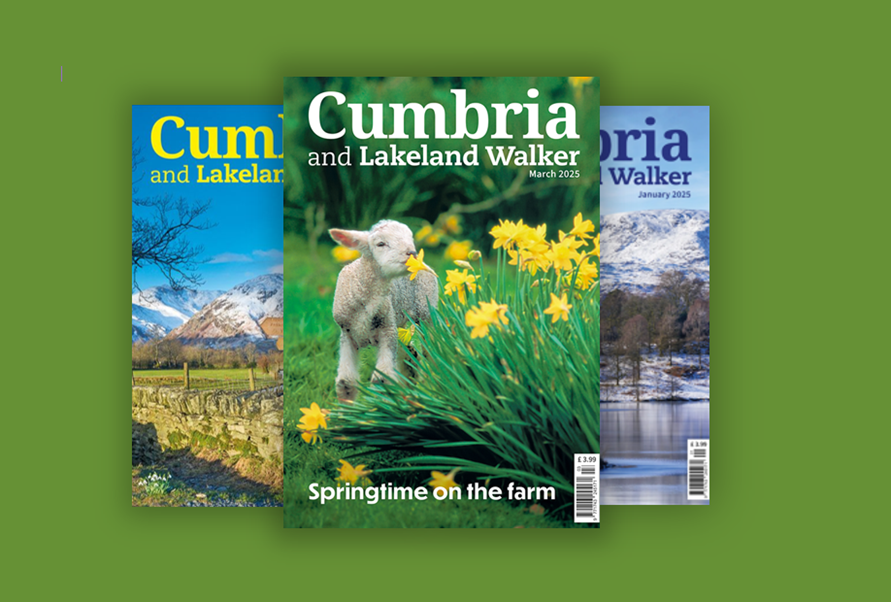 Cumbria and Lakeland Walker
