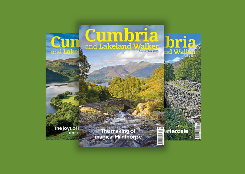 Cumbria and Lakeland Walker