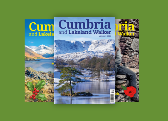 Cumbria and Lakeland Walker