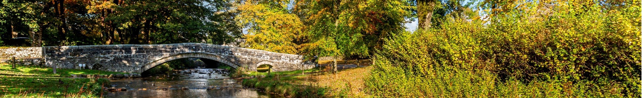 autumn yorkshire 2