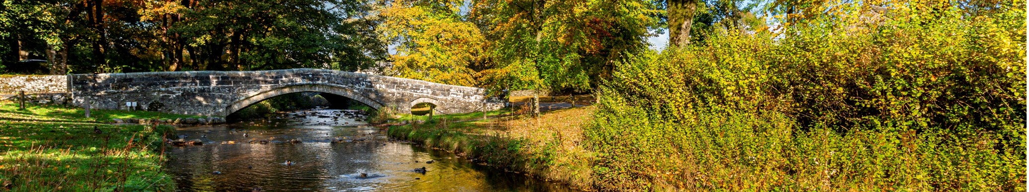 autumn yorkshire 2