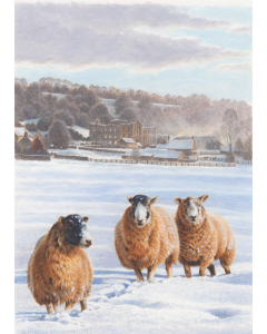 Yorkshire Air Ambulance Raffle Ticket