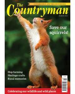 The Countryman March 2022 issue - OUT OF STOCK