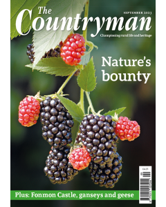 The Countryman September 2023 issue