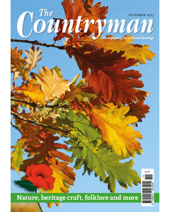 The Countryman November 2023 issue